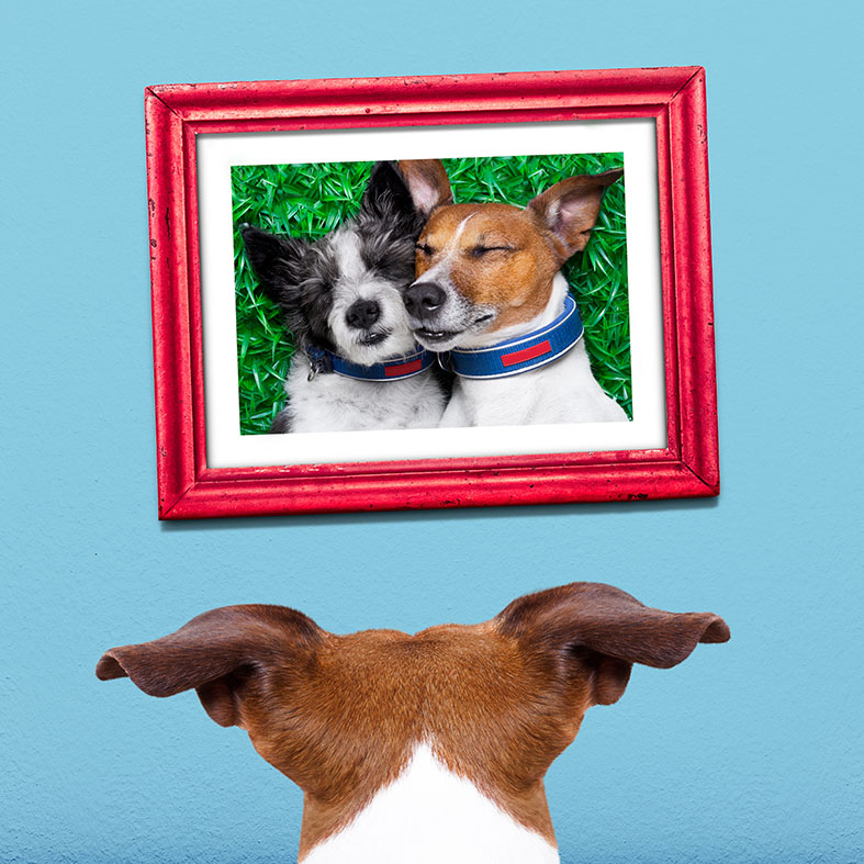 print and frame