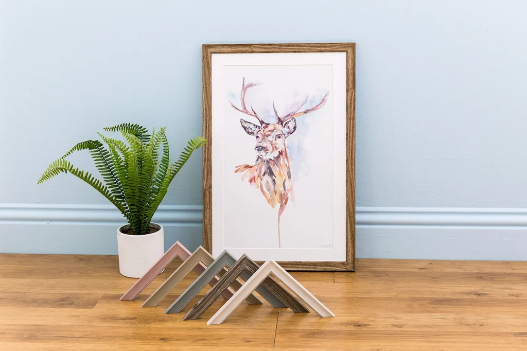 Picture frames for any picture