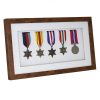medals_f-163_m-white_s-5_side-1