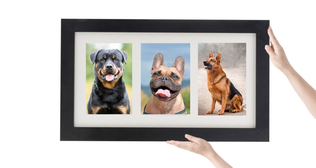 Multi Photo Collage Frames