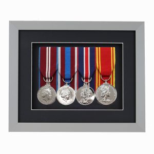 Grey Court Mounted Medal Frame For 4 War, Military/Sports Medals With Black or White Mount
